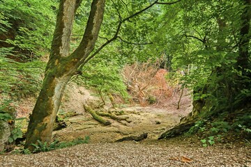 Bad Urach - Br&uuml;hlbach -altes Wasserbett - trockengelegt