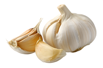 Fresh Garlic Bulbs and Cloves Aromatic and Flavorful Ingredient for Cooking