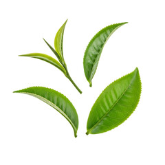 Vibrant Green Tea Leaves High-Resolution Stock Photo for Beverages, Health, and Nature