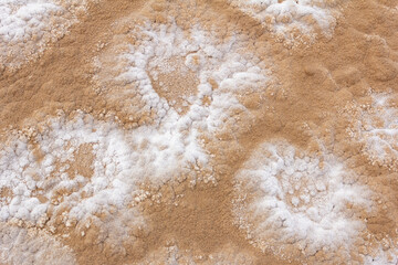 Unique salt formations on the desert ground near Yazd, Iran, creating a natural abstract texture shaped by wind and evaporation.