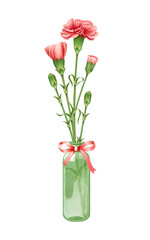 Vintage watercolor carnation schabaud Pink red flowers Bouquets in green glass bottles Red bow