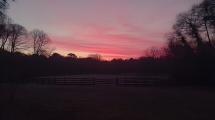 Pink and Purple Sunrise Over Silhouetted Trees and Fence
