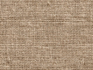 High-resolution seamless linen fabric texture. natural woven fibers. subtle imperfections. textile design, Art, 3D materials, interior backgrounds, digital surface simulations. Generative Ai content