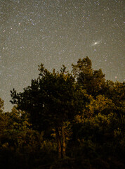 Paisaje nocturno estrellado con la Galaxia Andrómeda.