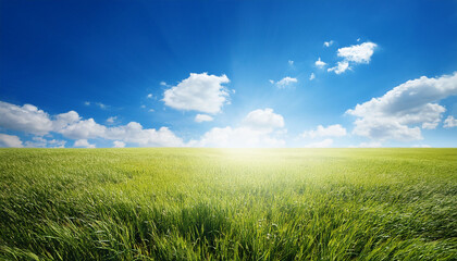 Fototapeta premium a bright fresh sunny spring summer blue sky background