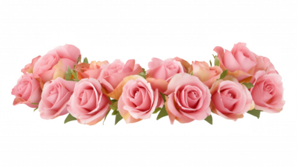 Row of pink roses with green leaves on transparent background