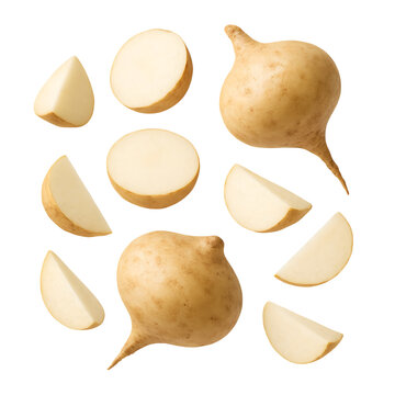 Fresh Bengkoang Jicama Yam Bean Tropical Root Vegetable