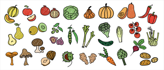 Autumn Vector Set of fruits and vegetables, hand drawn in doodle style, childrens pencil drawing.Harvest time. Collection depicting healthy food from natural farm products, for diet food, vegan menu 