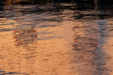 The art of water surface with each photo as a moment of suspended reflection, where the fluidity of the water creates a dynamic canvas of colour and abstract shap.