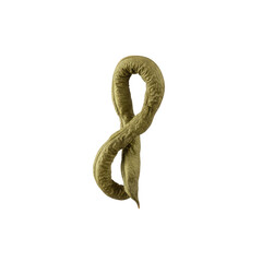 Obraz premium Textured green organic loop symbol isolated on black, representing growth, nature, and connection