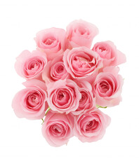 Obraz premium Close-up of a dozen soft pink roses with delicate petals on transparent background