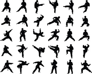Martial arts silhouettes, karate poses, black belt training, fighting stances, self-defense moves, taekwondo action, combat skills vector set © Obaidul Vector Zoon