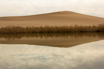 Serene desert lakes near Yazd, Iran, surrounded by golden dunes and sparse vegetation under a moody sky—nature’s rare harmony in an arid landscape.
