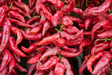 Strings of fresh red peppers hanging to dry.