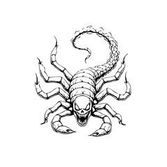 Detailed scorpion illustration with skull face menacing and formidable presence on white backdrop