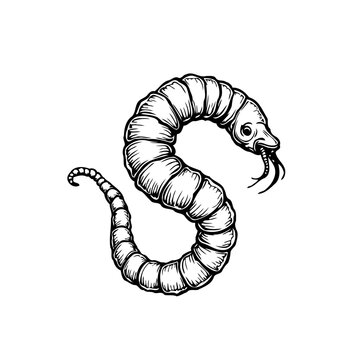 Detailed serpentine creature illustration depicting a uniquely styled elongated worm shape with a