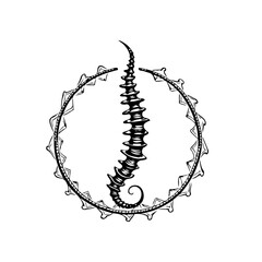 Intricate artistic illustration showcasing a stylized spine-like structure encapsulated within an