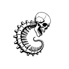 Intricate skeletal curl design featuring a skull atop a curved spine illustration with detailed