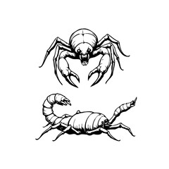 Stylized creepy crawlies: a captivating black and white vector illustration of a spider and