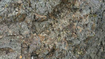 Cracked Porous Earthy Texture Background