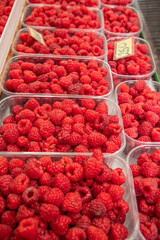 Fresh raspberries for sale at a market in Novi Sad.
