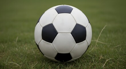 Fototapeta premium Classic Black and White Soccer Ball