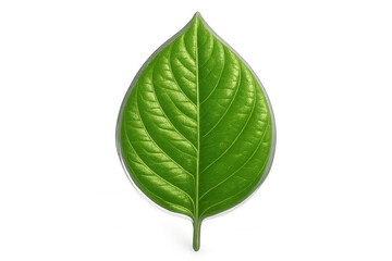 Obraz premium Green leaf with prominent veins isolated on a transparent background, ideal for nature-themed projects