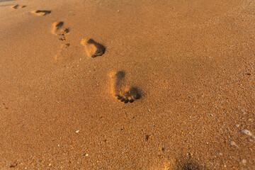 Barefoot Footprint Leads To Horizon On Sandy Beach