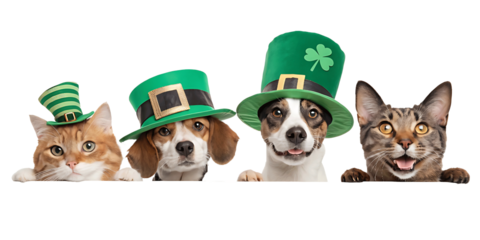 Festive St Patricks Day Celebration with Adorable Pets Displaying Green Hats and Happy Expressions Banner Ready for Promotions and Greetings
