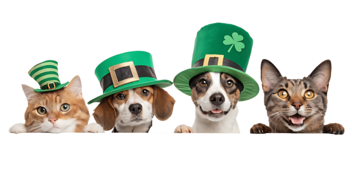 Festive St Patricks Day Celebration with Adorable Pets Displaying Green Hats and Happy Expressions Banner Ready for Promotions and Greetings