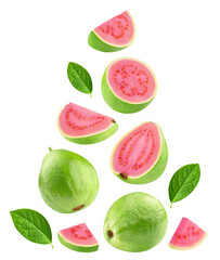Guava isolated set. Collection whole, half and slice guava on transparent background.