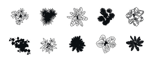 Set of different indoor plants, top view. For landscape, architectural, and interior design. Flat vector illustrations, hand-drawn and isolated on a transparent background © Tatiana Bauman 
