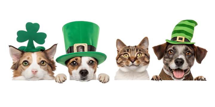 St Patricks Day Celebration with Adorable Cats and Dogs Wearing Festive Green Hats for a Lucky and Joyful Holiday Season