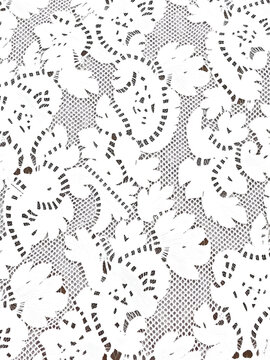 Seamless delicate white Pointelle lace fabric with intricate patterns and textures, showcasing the fine details of the lacework.