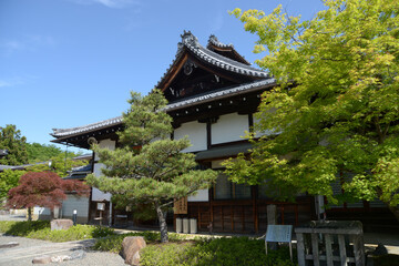 春の妙満寺　庫裏・本坊　京都市左京区岩倉