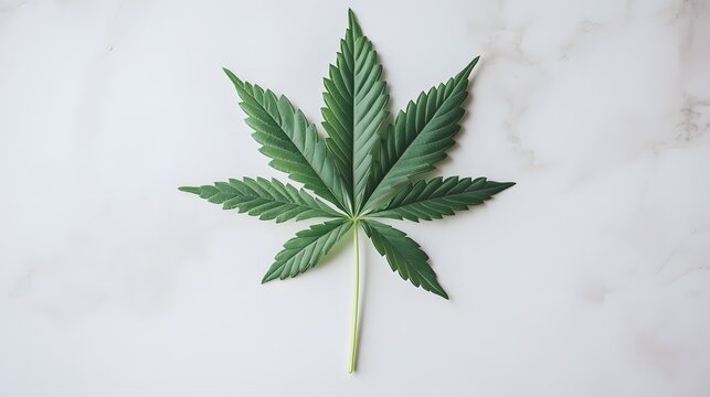 A marijuana leaf on a white marble surface.