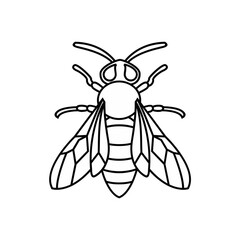 Outline Drawing of a Bee or Wasp Insect on White Background