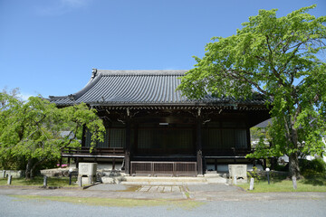 春の妙満寺　大書院　京都市左京区岩倉