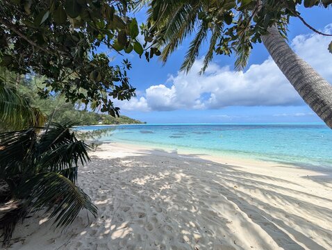 La plage, bora bora, polyn&eacute;sie fran&ccedil;aise