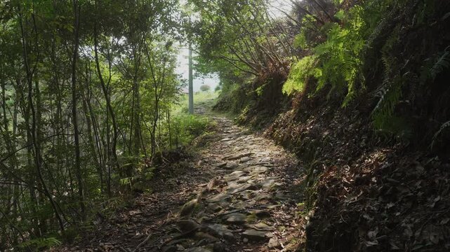 熊野古道・小辺路「天空の郷・果無集落」⑥ 奈良県十津川村 Kumano Kodo Kohechi Route &mdash; &ldquo;Village in the Sky&rdquo; Hatenashi Settlement, Totsukawa, Nara (Part06)