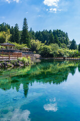 Fototapeta premium 霧島山麓の丸池湧水 美しい湧き水と緑豊かな自然風景