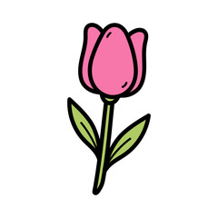Pink Tulip Flower Illustration on White Background