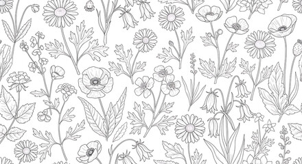 Fototapeta premium Seamless Pattern of Line Art Wildflowers and Herbs.