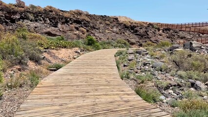 Scenic Wooden Pathway Meandering Through Beautiful Natural Landscape for Outdoor Enthusiasts