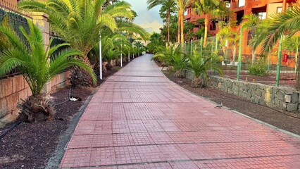 A Beautiful Scenic Pathway That Is Surrounded By Lush Green Palm Trees and Natures Beauty