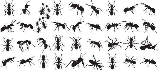 ant, ants, insect, insects, silhouette, black, white background, isolated, crawling, walking, running, standing, group, swarm, many, different, poses, vector, illustration, macro, close up, arthropod,