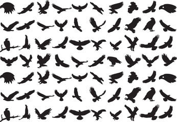 eagle, bird, hawk, falcon, raptor, silhouette, bird of prey, flight, flying, perched, wings spread, profile, outline, black and white, vector, graphic, nature, wildlife, freedom, power, majesty, hunti