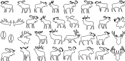 moose, elk, deer, animal, wildlife, nature, forest, wilderness, antlers, majestic, strong, large, standing, walking, running, jumping, grazing, head, hoof print, silhouette, outline, line art, illustr