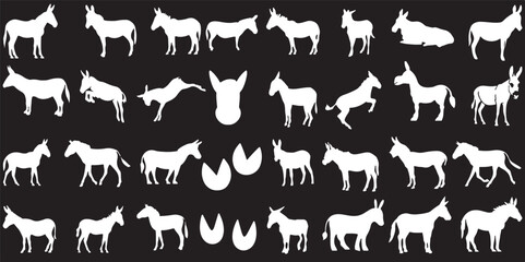 donkey, mule, horse, animal, silhouette, white, black background, vector, graphic, design, element, collection, set, standing, walking, running, jumping, head, hoof, farm animal, livestock, nature, si