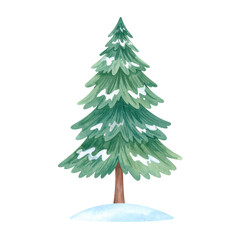 Watercolor Illustration of a Snowy Fir Tree.